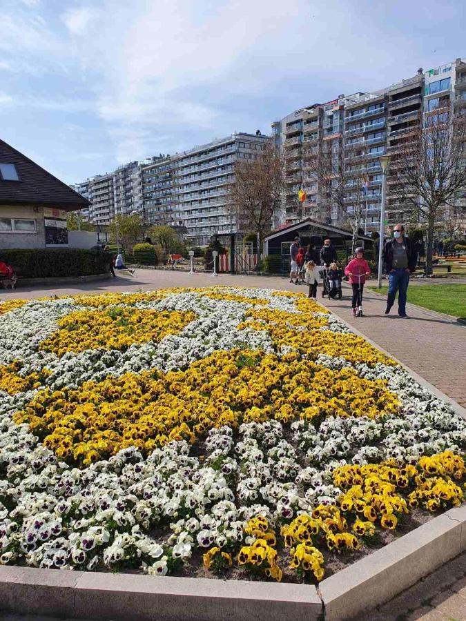 Appartement Sun And Fun à Blankenberge Extérieur photo